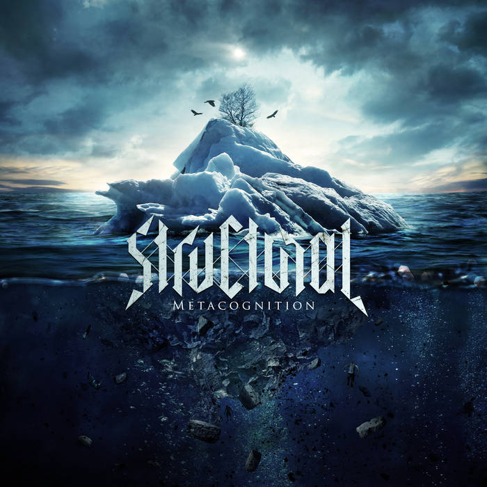 Metacognition album cover